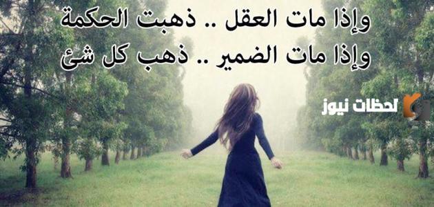 حكم قصيرة معناها كبير ومؤثر