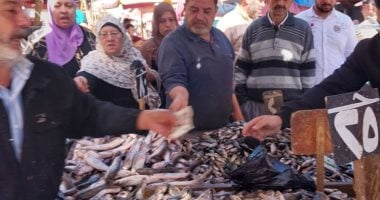 حلقة عزبة البرج: مركز توزيع الأسماك الطازجة يومياً بدءًا من الرابعة فجراً