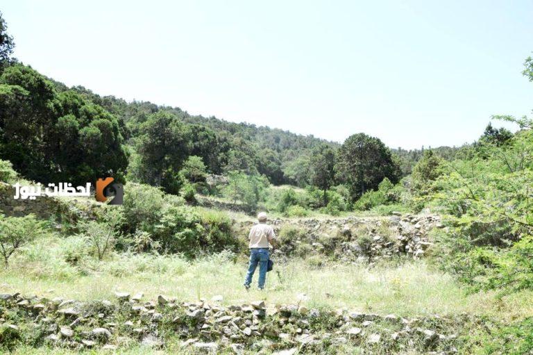 دراسة جديدة للغطاء النباتي تركز على الوقاية من حرائق المناطق الجنوبية والجنوبية الغربية