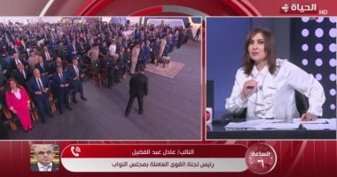 لجنة القوى العاملة بالبرلمان: قانون العمل الجديد يركز على حماية حقوق العمال