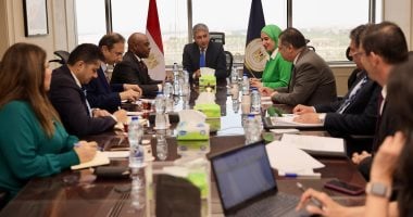 مصر تستضيف اجتماعات منظمة الدول الثماني النامية للتعاون الاقتصادي (D8)