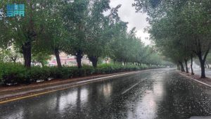 مكة المكرمة تسجل أعلى معدل لهطول الأمطار بواقع 17.6 ملم.