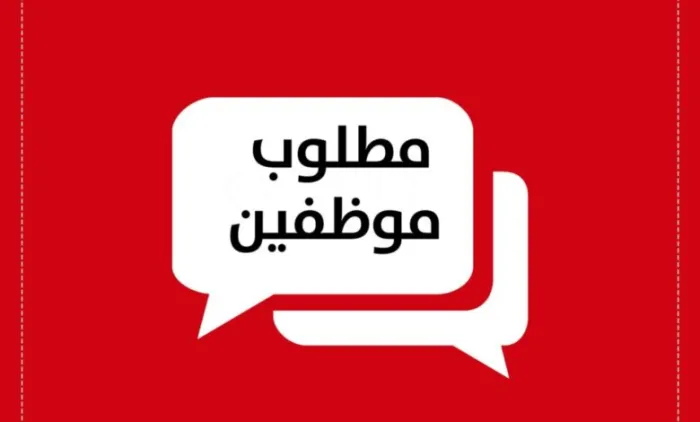 شروط التقديم على وظائف دار الشاي وطريقة التقديم إلكترونيًا والتخصصات المطلوبة
