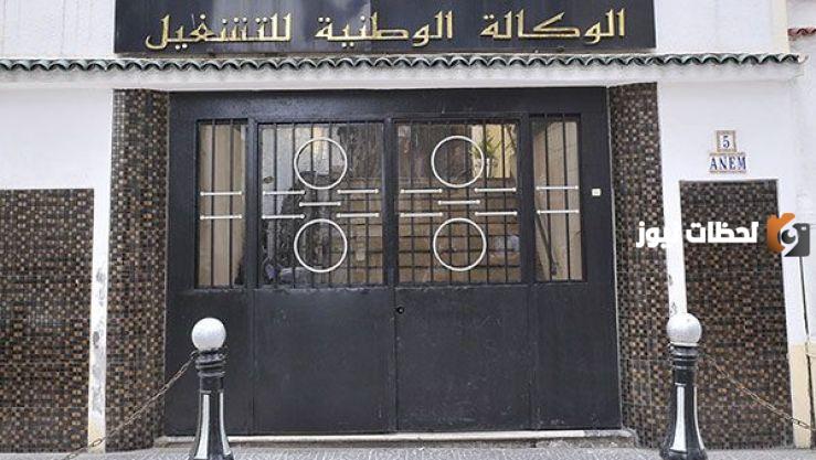 لماذا تم رفضي في منحة البطالة؟ وكالة التشغيل في الجزائر توضح التفاصيل والشروط كاملة