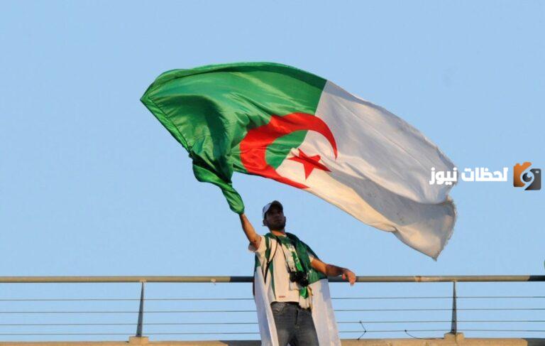 لماذا تم رفضي في منحة البطالة؟ وكالة التشغيل في الجزائر توضح التفاصيل والشروط كاملة