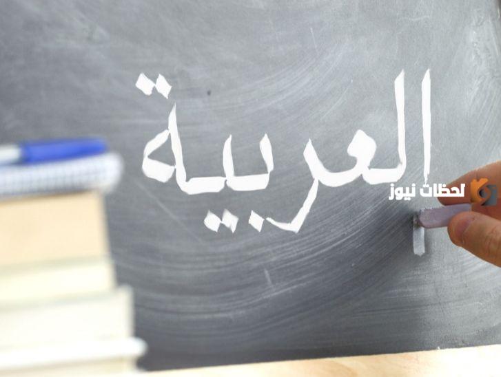 لعشاق لغة الضاد | ألغاز للاذكياء في اللغة العربية 2025 مع الحل