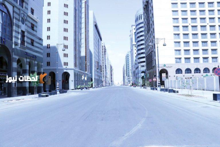 إنشاء 456 شجرة لتظليل «المركزية»