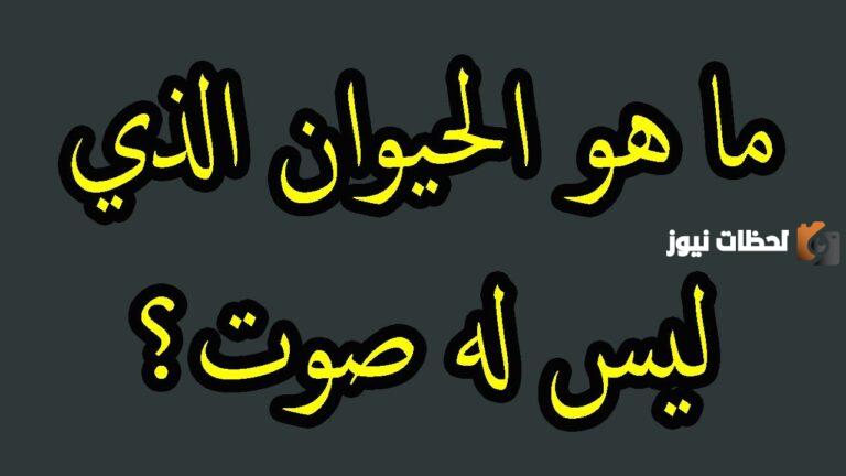 متعة وفائدة | أسئلة عامة للمسابقات مع خيارات متعددة