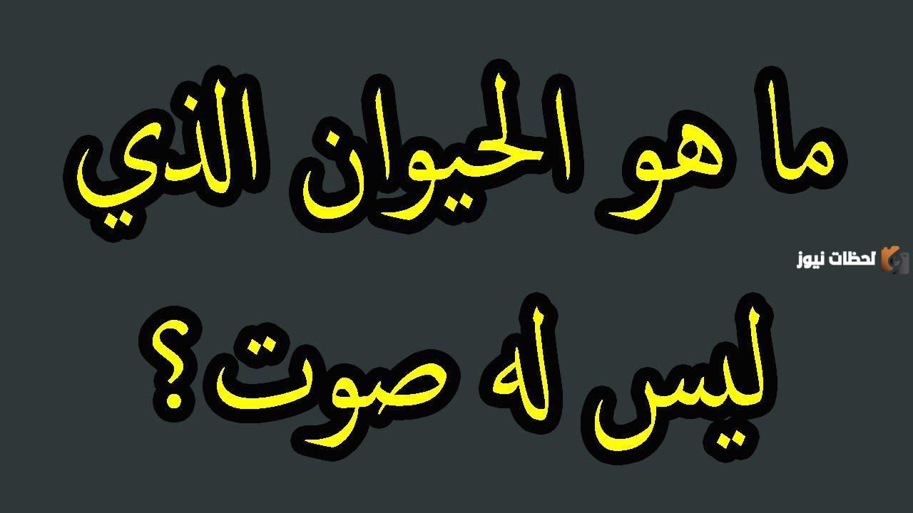 متعة وفائدة | أسئلة عامة للمسابقات مع خيارات متعددة