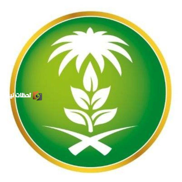 الإعلان عن خدمة «إعفاء المتوفين» من «صندوق التنمية» عبر «توكلنا»
