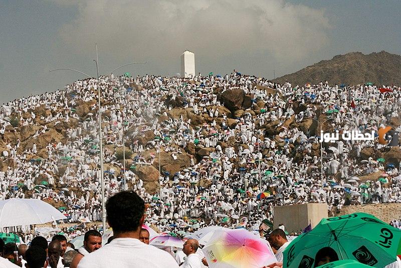 ما هو ثواب الإفطار في يوم وقفة عرفة؟ فضل إفطار صائم يوم وقفة عرفة