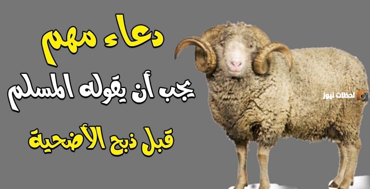 هل الدعاء مستجاب في يوم عيد الاضحى؟ دعاء ما قبل ذبح الأضحية