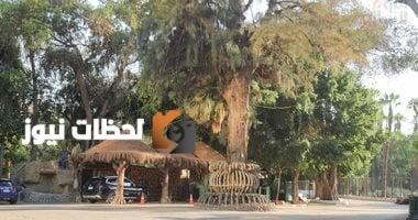 لحظات نيوز يرصد اخر اعمال التطوير داخل حديقة حيوان الجيزة بلا صور