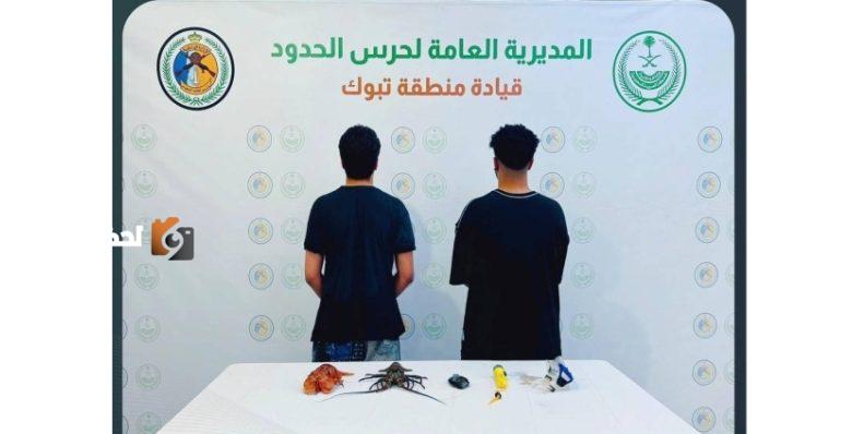 ضبط مخالفات للائحة الأمن والسلامة في الأنشطة البحرية بتبوك بشكل مفاجئ وفعال