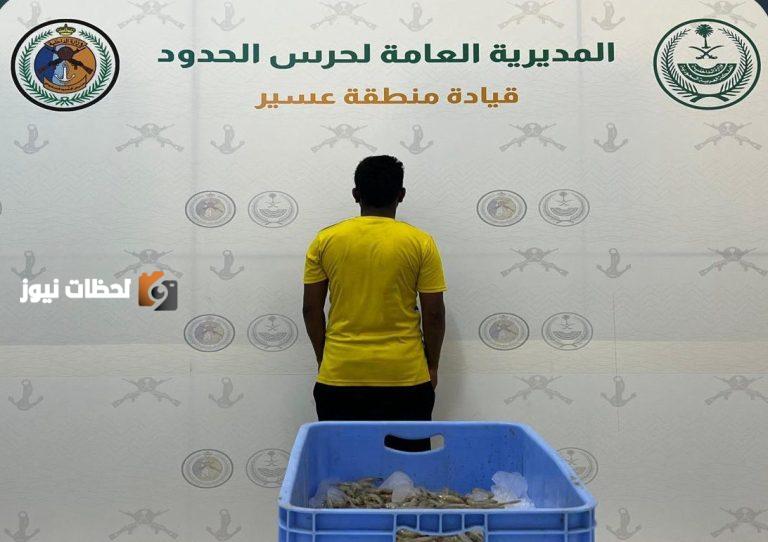 ضبط مخالف لصيد الاسماك دون تصريح في سواحل عسير