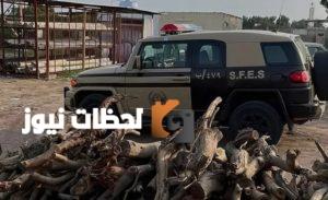 ضبط مخالفات استخدام الحطب المحلي في الأنشطة التجارية بسعودية عسير ضبط مخالفات استخدام الحطب المحلي في الأنشطة التجارية بسعودية عسير