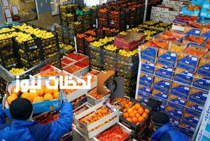 زيادة صادرات الأغذية إلى 3.3 مليار دولار في النصف الأول من 2025