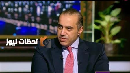 المستشار محمود فوزي