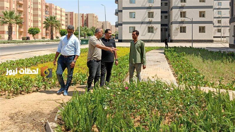 المهندس السيد إبراهيم أمين