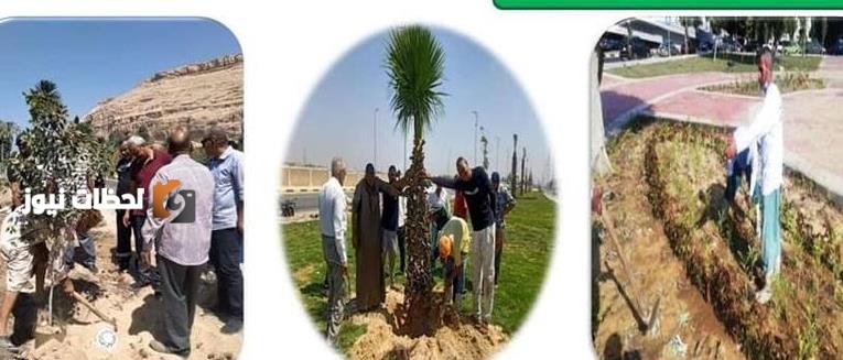 زراعة سبعة ملايين ونصف شجرة