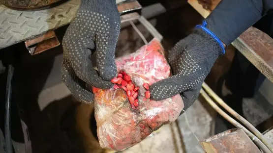 احباط تهريب 817 الف حبة محظورة