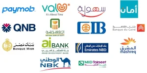شركات التقسيط تقدم تمويلات بقيمة 1.14 مليار جنيه لشراء الملابس والحقائب والساعات