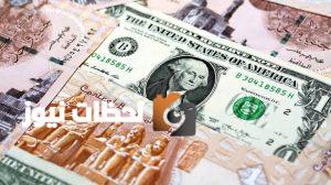 تحديث مستمر: أسعار الدولار أمام الجنيه في البنوك المصرية