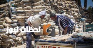 التحليل اليومي لأسعار الأسمنت بتاريخ الجمعة 29 أغسطس 2025: الطن يسجل 4000 جنيه