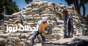 تحديث أسعار الأسمنت اليوم 26 أغسطس 2025: تعرّف على تكلفة الطن الحالي.