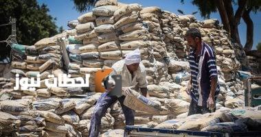 تحديث أسعار الأسمنت اليوم 26 أغسطس 2025: تعرّف على تكلفة الطن الحالي.