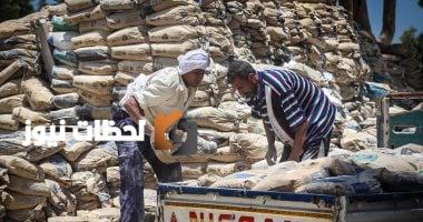 تحديثات حصرية لأسعار الأسمنت الخميس 28-8-2025: تفاصيل تكلفة الطن الأخيرة