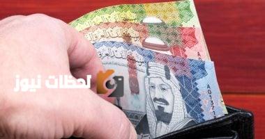 ثبات سعر الريال السعودي اليوم الجمعة 29 أغسطس 2025 بمتوسط شراء 12.93 جنيه