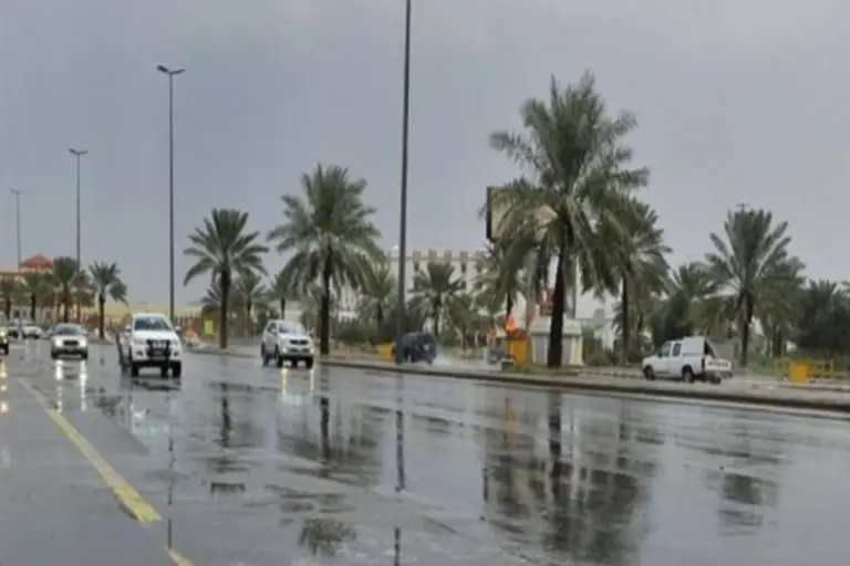 “اليوم وغدا” حالة الطقس اليوم من المركز الوطني للأرصاد يتوقع سقوط أمطار وضباب وانعدام الرؤية على بعض المناطق