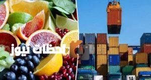 زيادة الصادرات المصرية إلى 26 مليار دولار خلال نصف عام: تقرير اقتصادي حصري