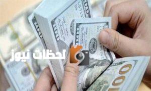 الدولار يسجل استقرارًا نسبيًا بالبنوك وارتفاعًا قياسيًا في تحويلات العاملين بالخارج