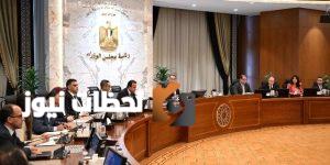 مدبولي: اجتماعات دورية لضمان توافر الأدوية وتوطين صناعة الدواء في مصر