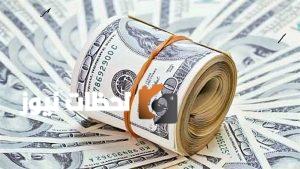 استقرار سعر الدولار أمام الجنيه المصري في ختام التعاملات