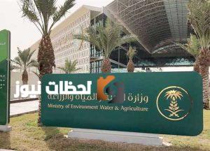 ورشة عمل في مكة لتعريف المستفيدين بطرق ومعدات الصيد البحري التقليدية والحديثة