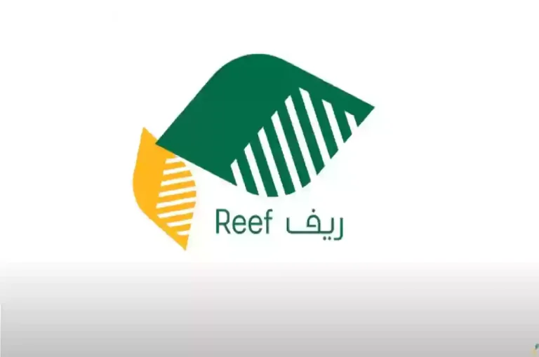 متى ينزل؟؟ دعم ريف لدفعة شهر نوفمبر 2025.. وزارة البيئة والزراعة توضح الموعد!