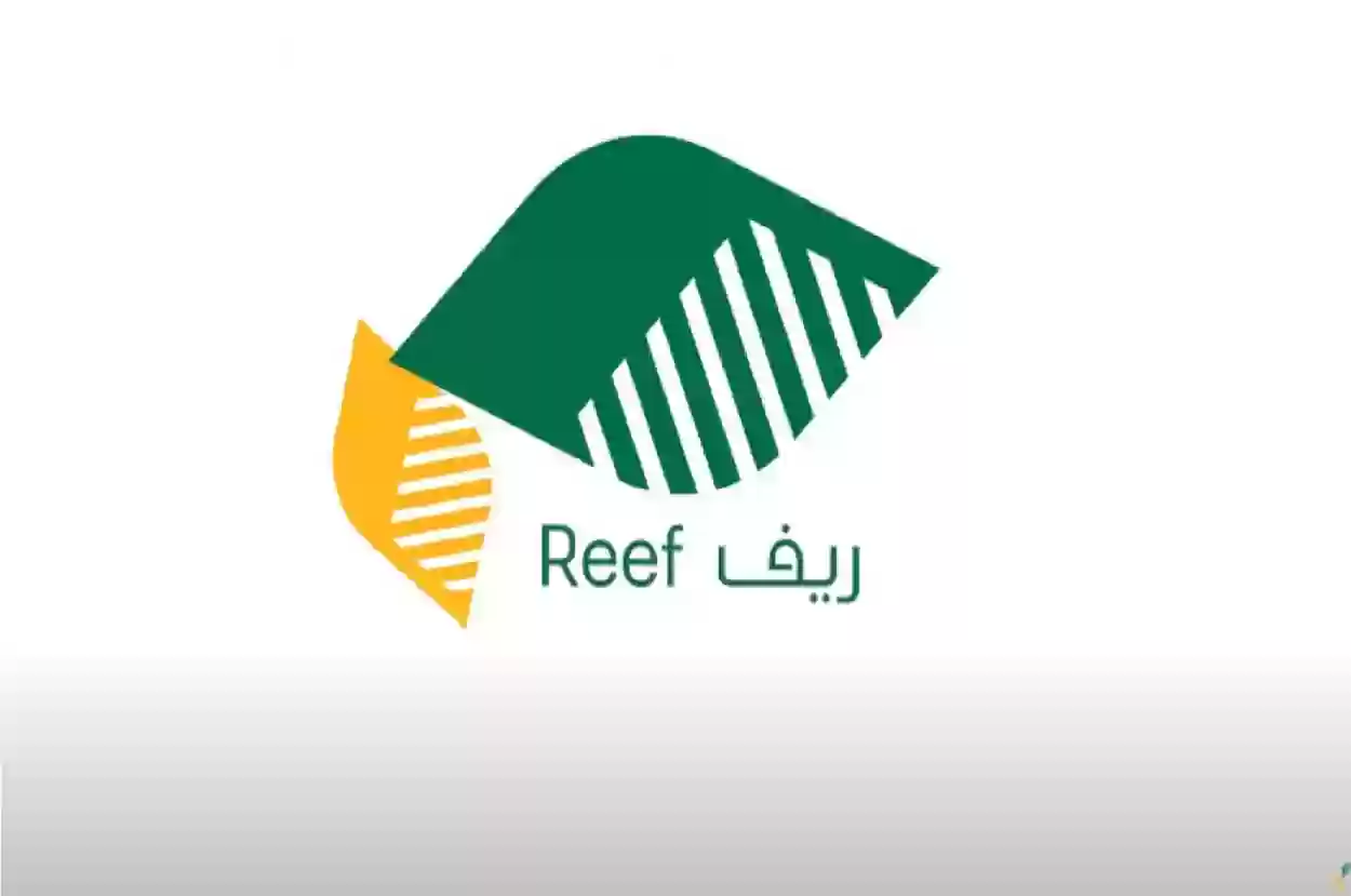متى ينزل؟؟ دعم ريف لدفعة شهر نوفمبر 2025.. وزارة البيئة والزراعة توضح الموعد!