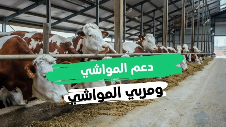 رسميًا | إيداع دعم مربي المواشي لشهر ديسمبر 2025.. وزارة الزراعة السعودية تعلن