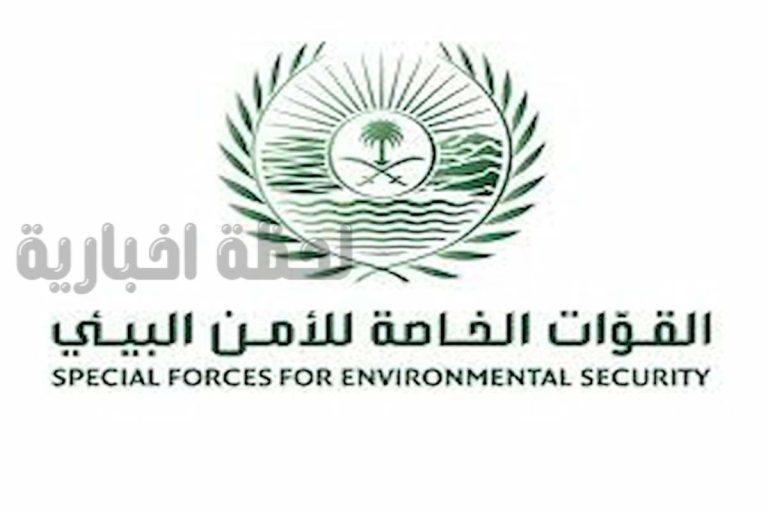 غرامة بأكثر من 300 ألف ريال!! الأمن البيئي يعلن عقوبة كارثية على مواطنين بسبب الحطب المحلي