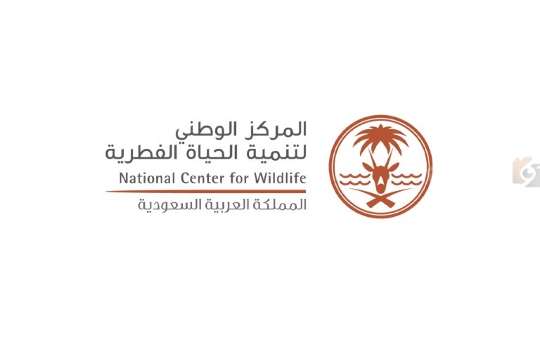 “من نوع برايد”.. مركز تنمية الحياة الفطرية يكشف حقيقة وجود حيتان في السعودية ببيان رسمي