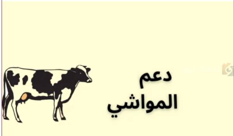 موعد صرف دعم المواشي لكل شهر وطريقة تقديم طلب الحصول عليه