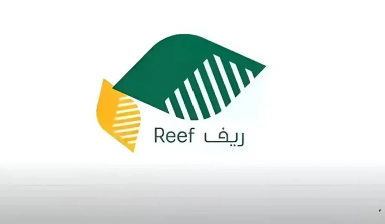 هل حقيقة؟؟ | تبكير صرف دعم ريف لشهر نوفمبر 2025.. وزارة البيئة والمياه والزراعة تعلن