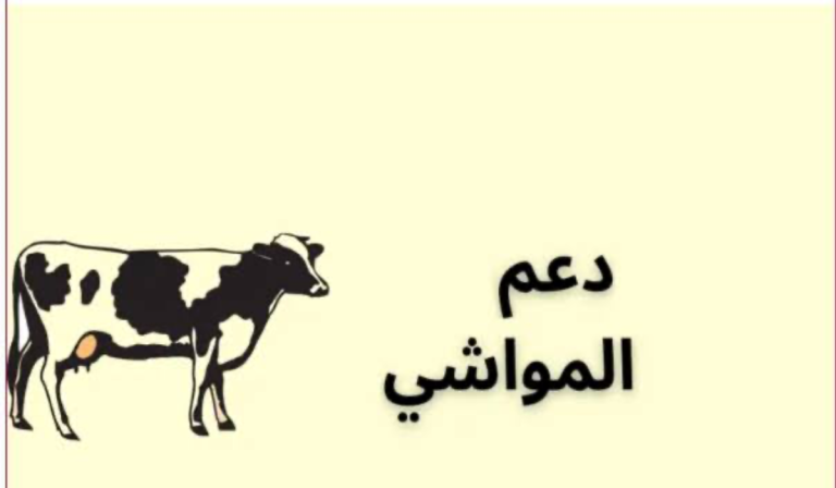 مفاجأة لمربي الماشية | صرف دعم المواشي دفعة شهر نوفمبر 1447 بهذا الموعد.. وزارة الزراعة تعلن