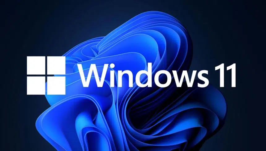 نسخة تجريبية جديدة لمستخدمي Windows 11